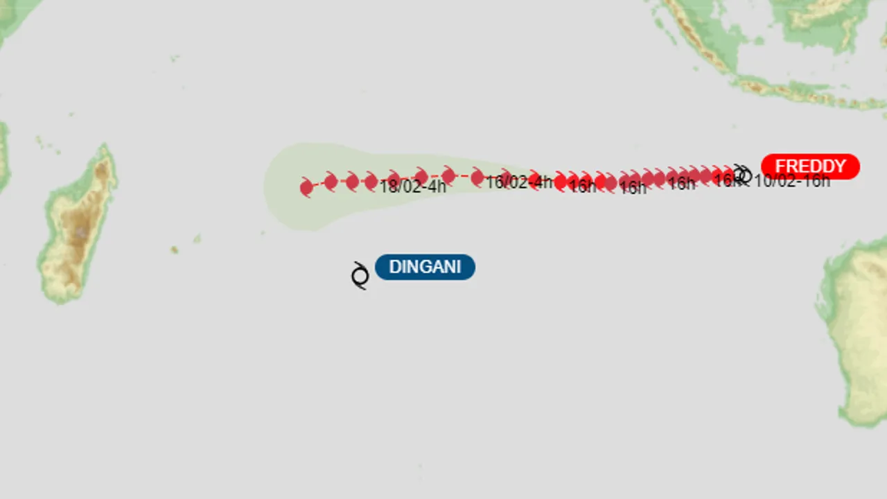 70782094-49329733