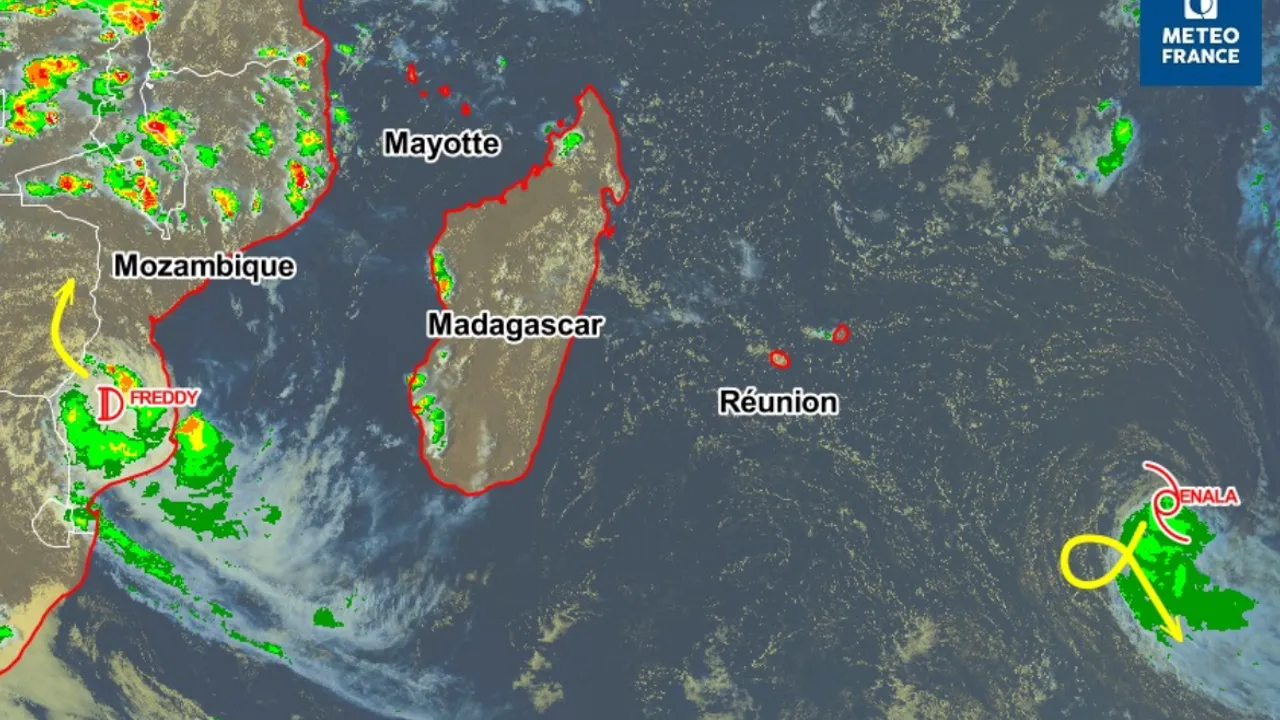 71040009-49506361