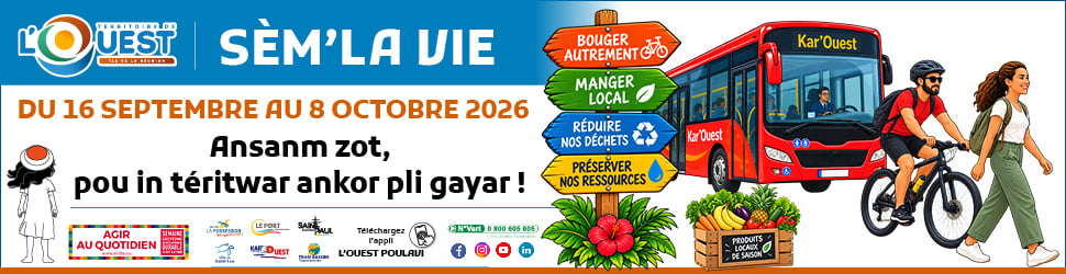BandoZinfo974-semlavie2026-970X250