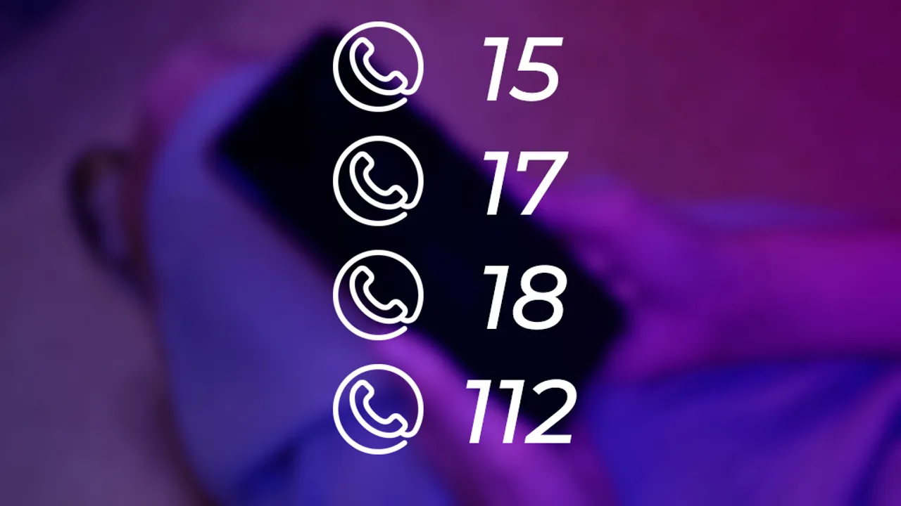 71336056-49709643