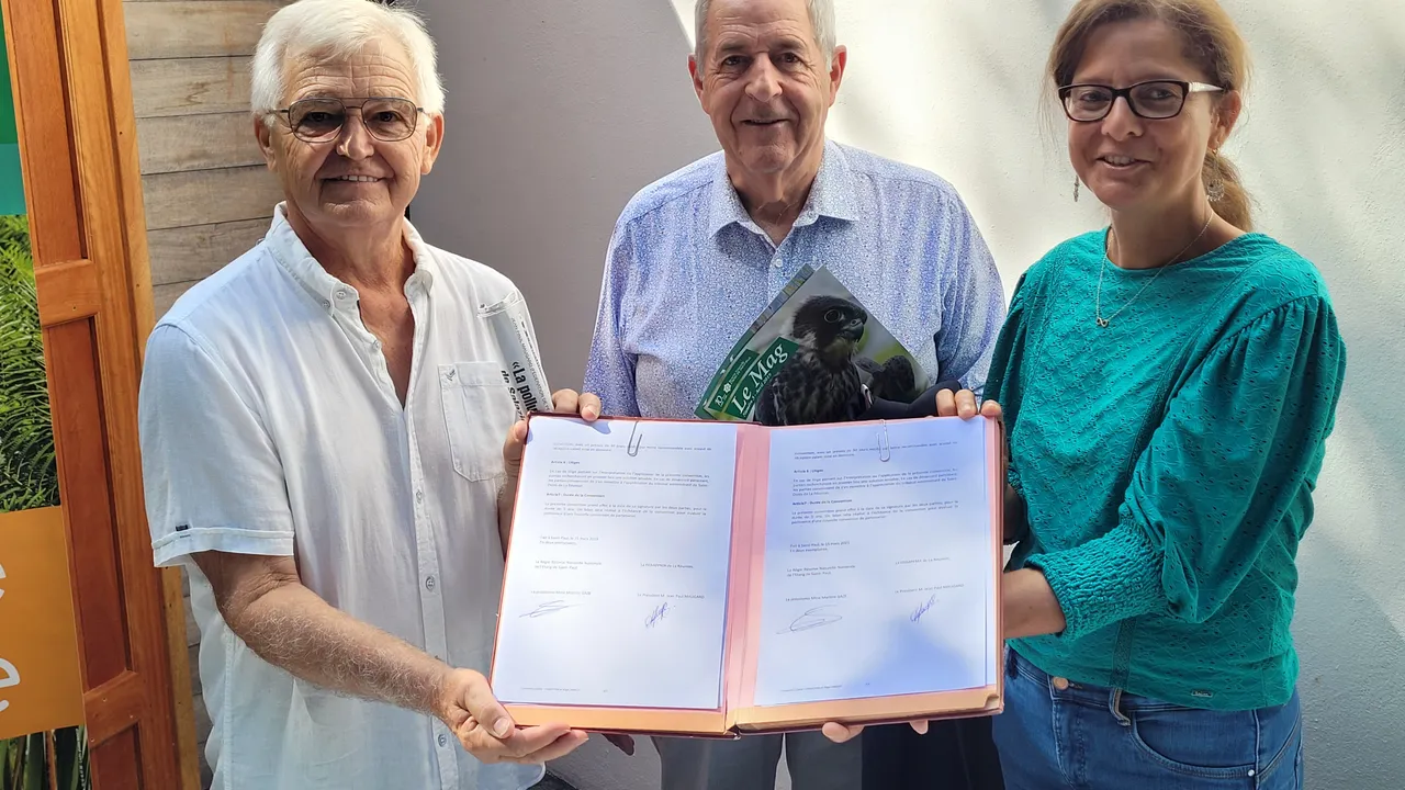 71456514-49787567