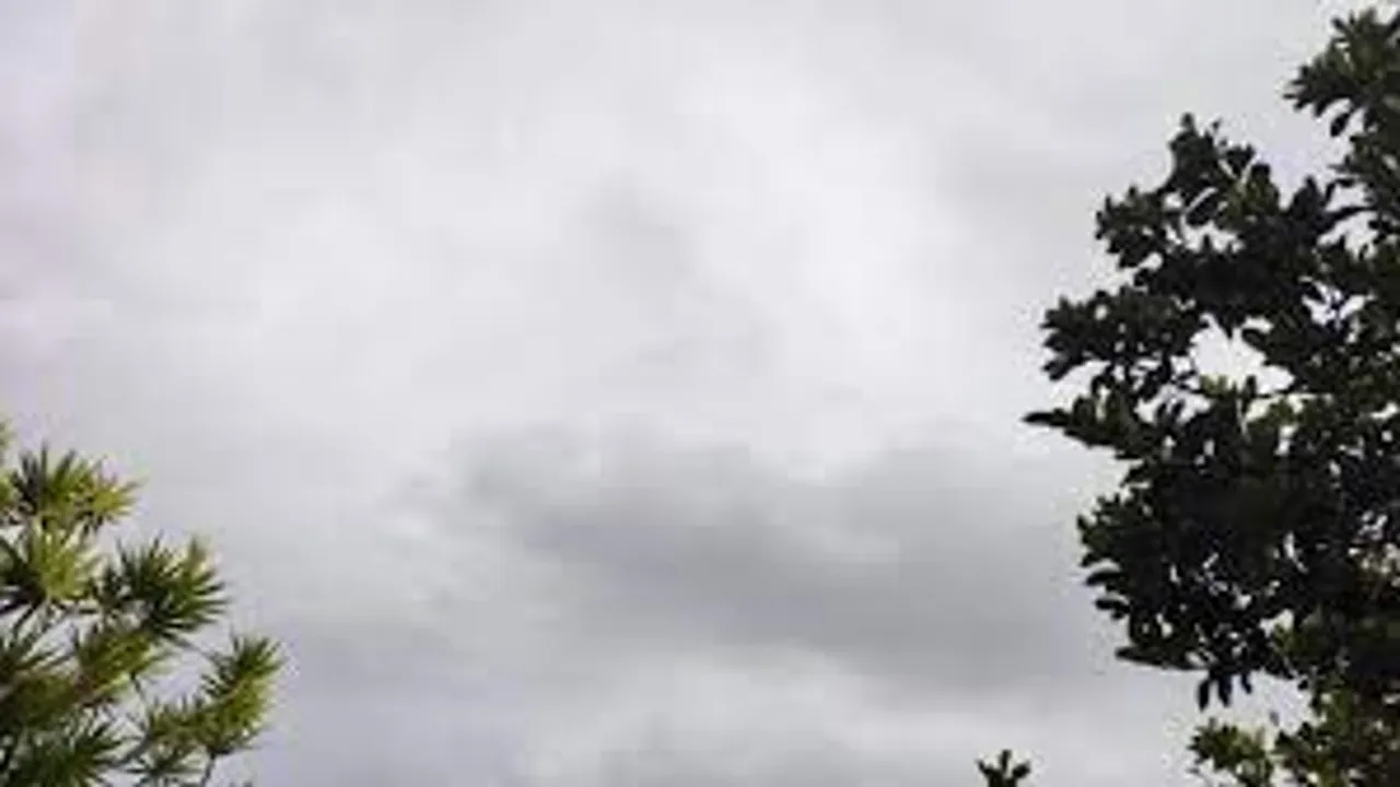 72423104-50386897