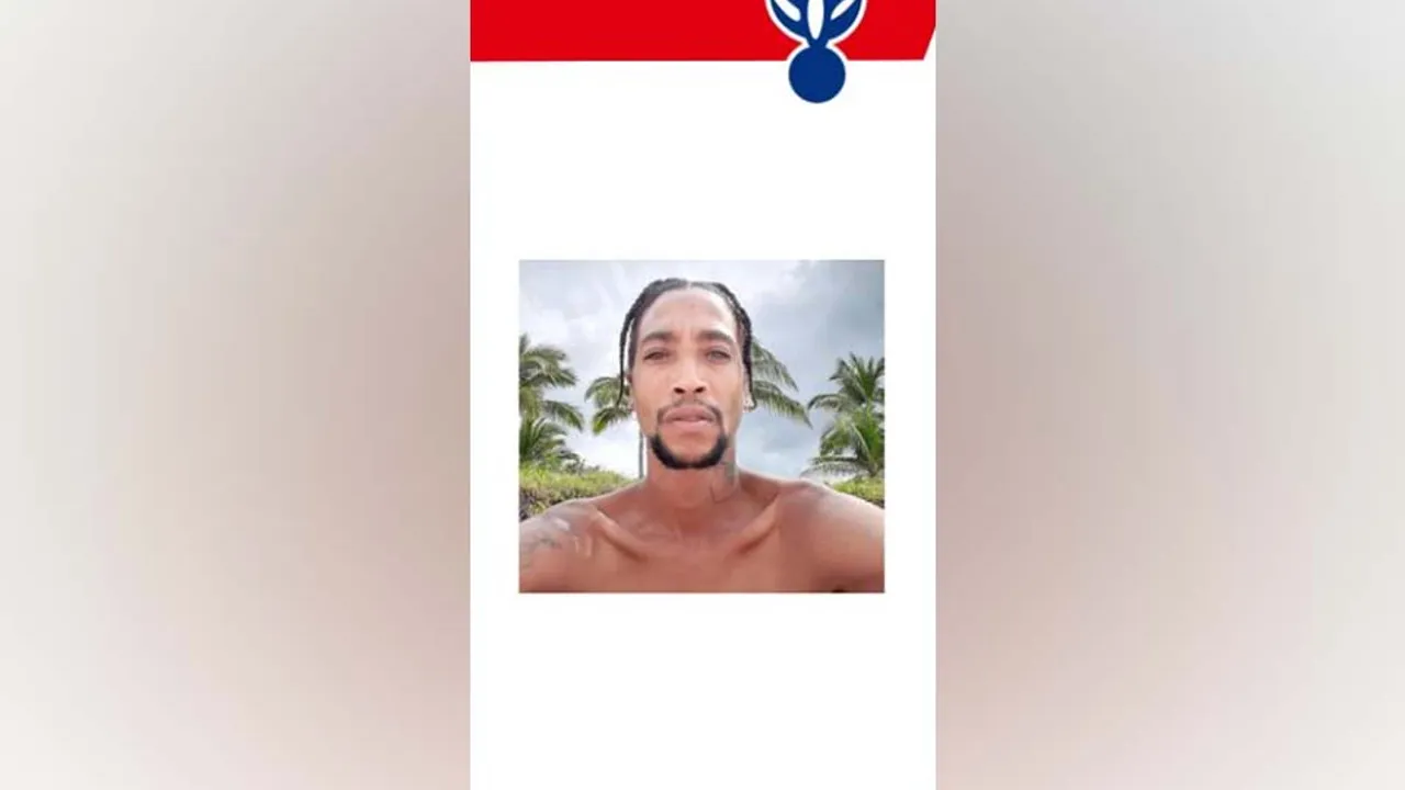 73397677-51088983