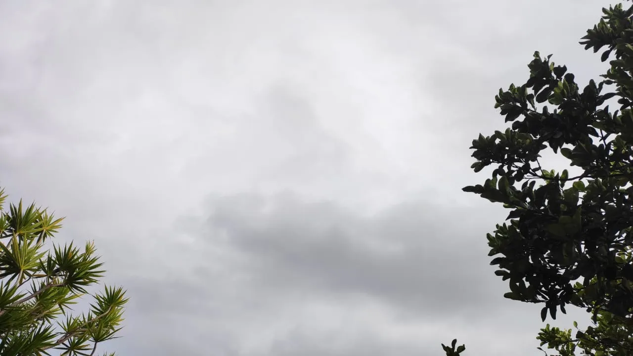 74220123-51629058