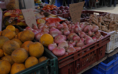 Hausse des prix des matières premières agricoles : Une indemnisation exceptionnelle pour les producteurs de fruits et légumes