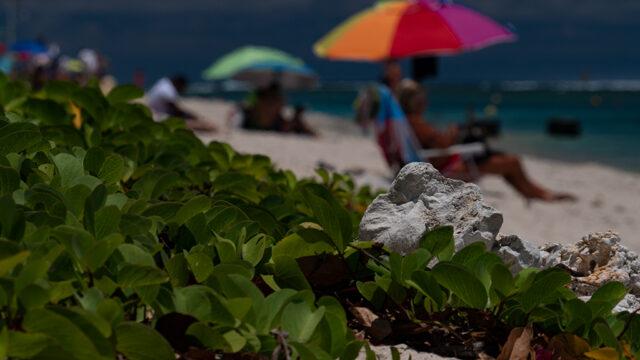 Météo - Plage