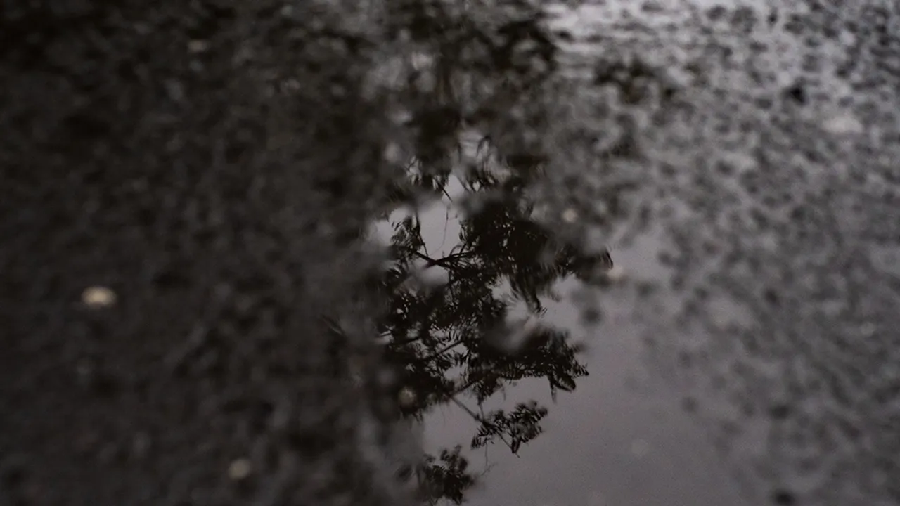 Pluie (13)