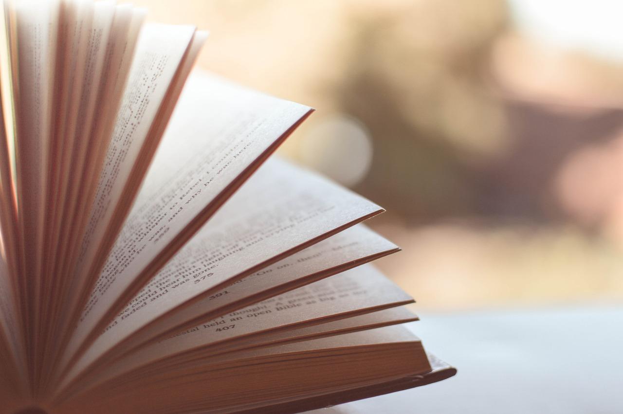 livre pixabay