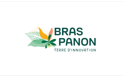 Mairie de Bras-Panon : Avis d’appel public à la concurrence – Procédure adaptée