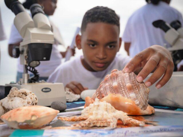 Magie et Biodiversité marine pour les marmaille de 1000 sourires