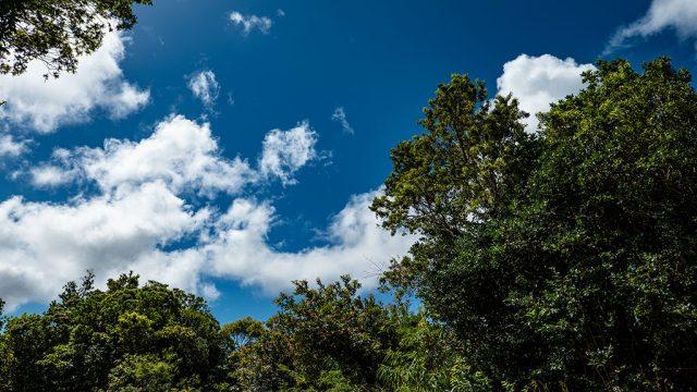 Météo, températures
