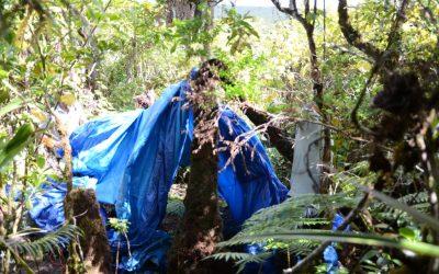 Sept camps de braconniers démantelés dans la forêt de Bébour