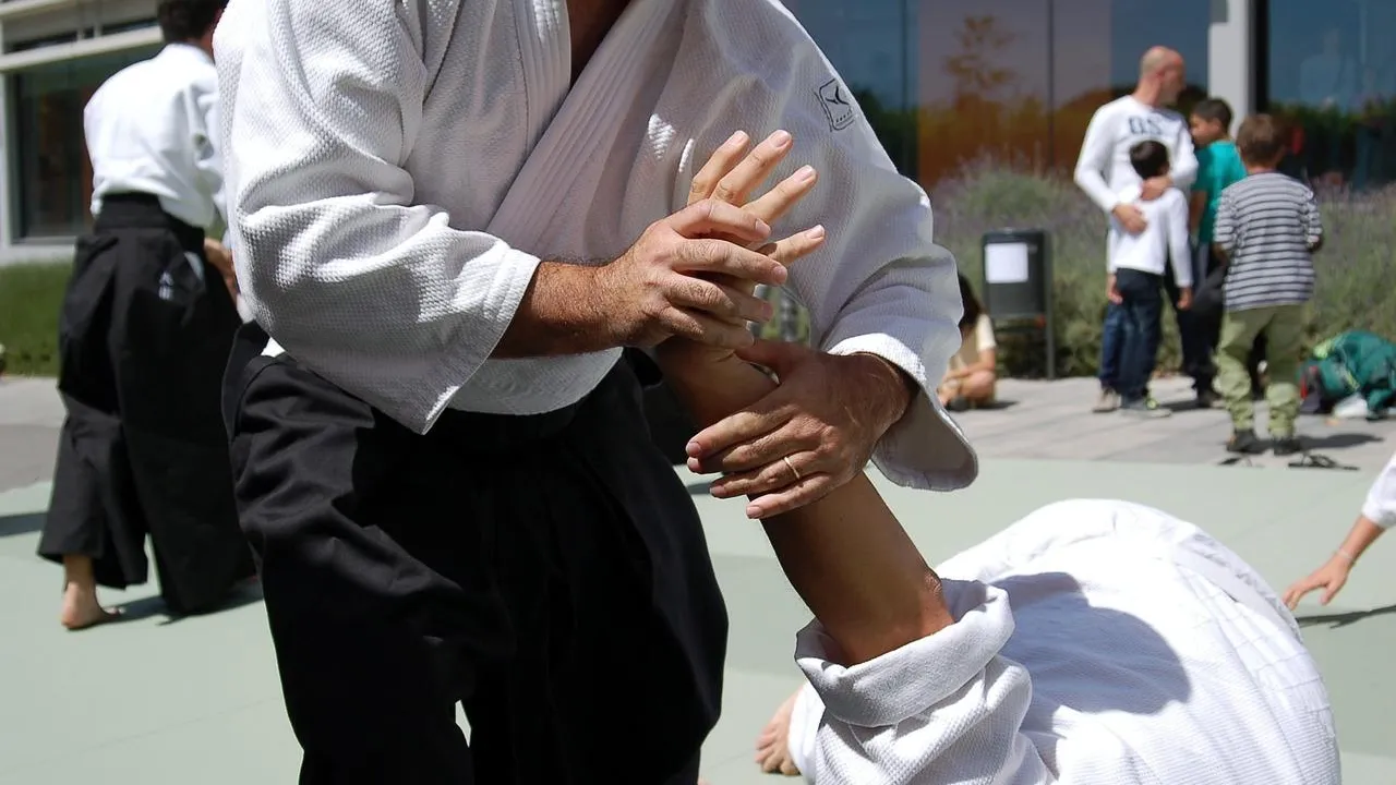 martial-arts-116543_1280