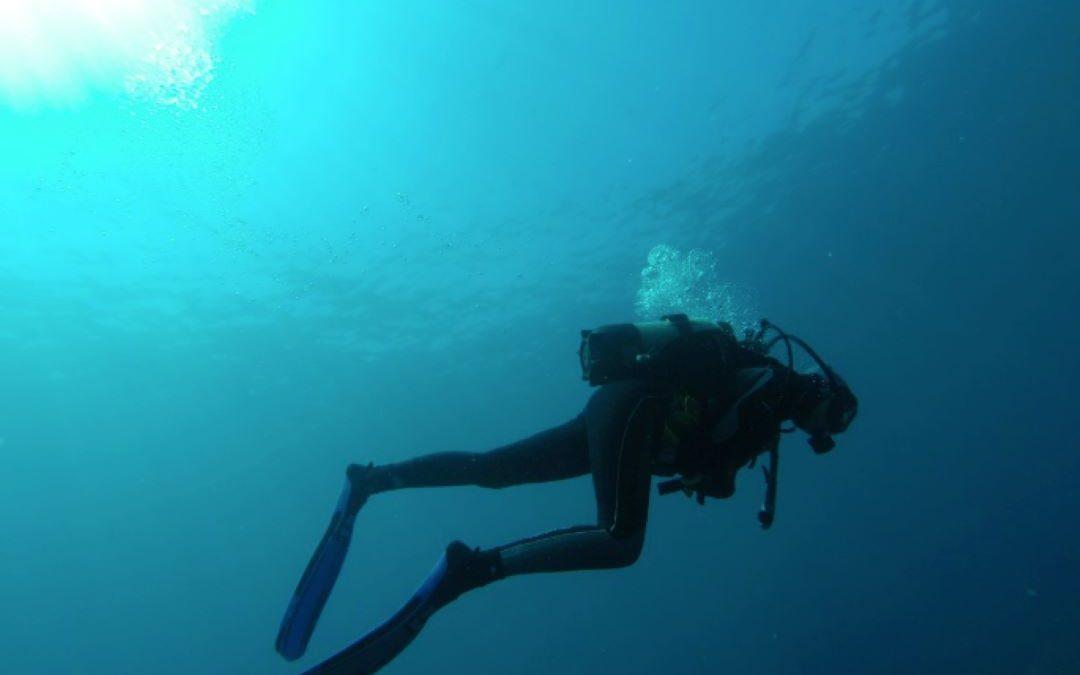 Battre le record du monde de la chaîne humaine sous-marine la plus longue à La Réunion