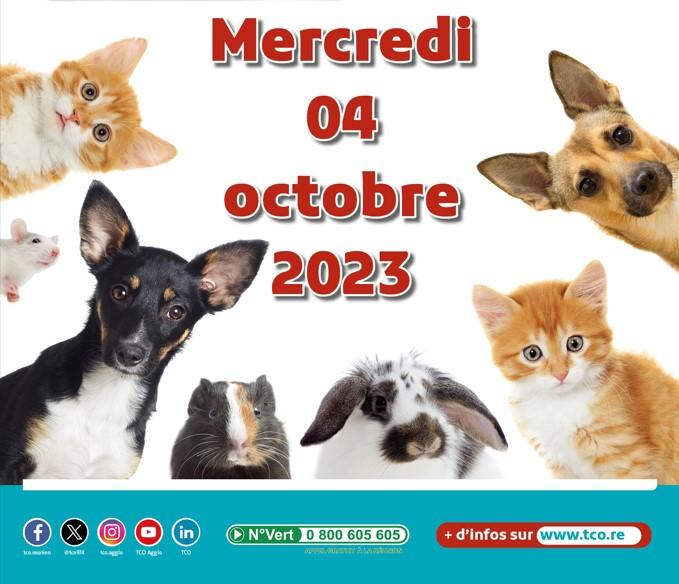 capture-decran-2023-09-28-102335