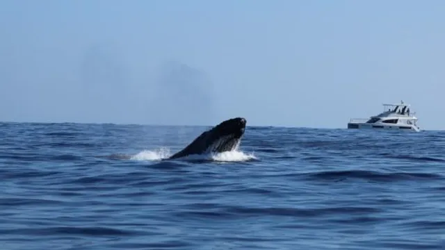 Capture d’écran 2023-10-23 105526