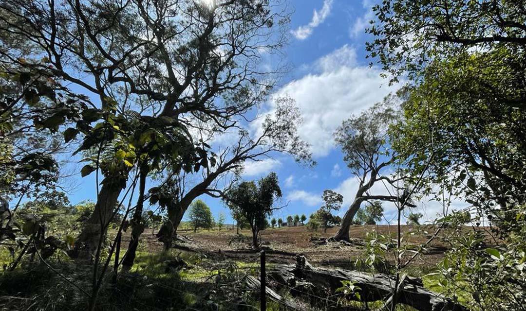 Les Avirons : Condamnés pour avoir réalisé un terrain de motocross en lisière de forêt