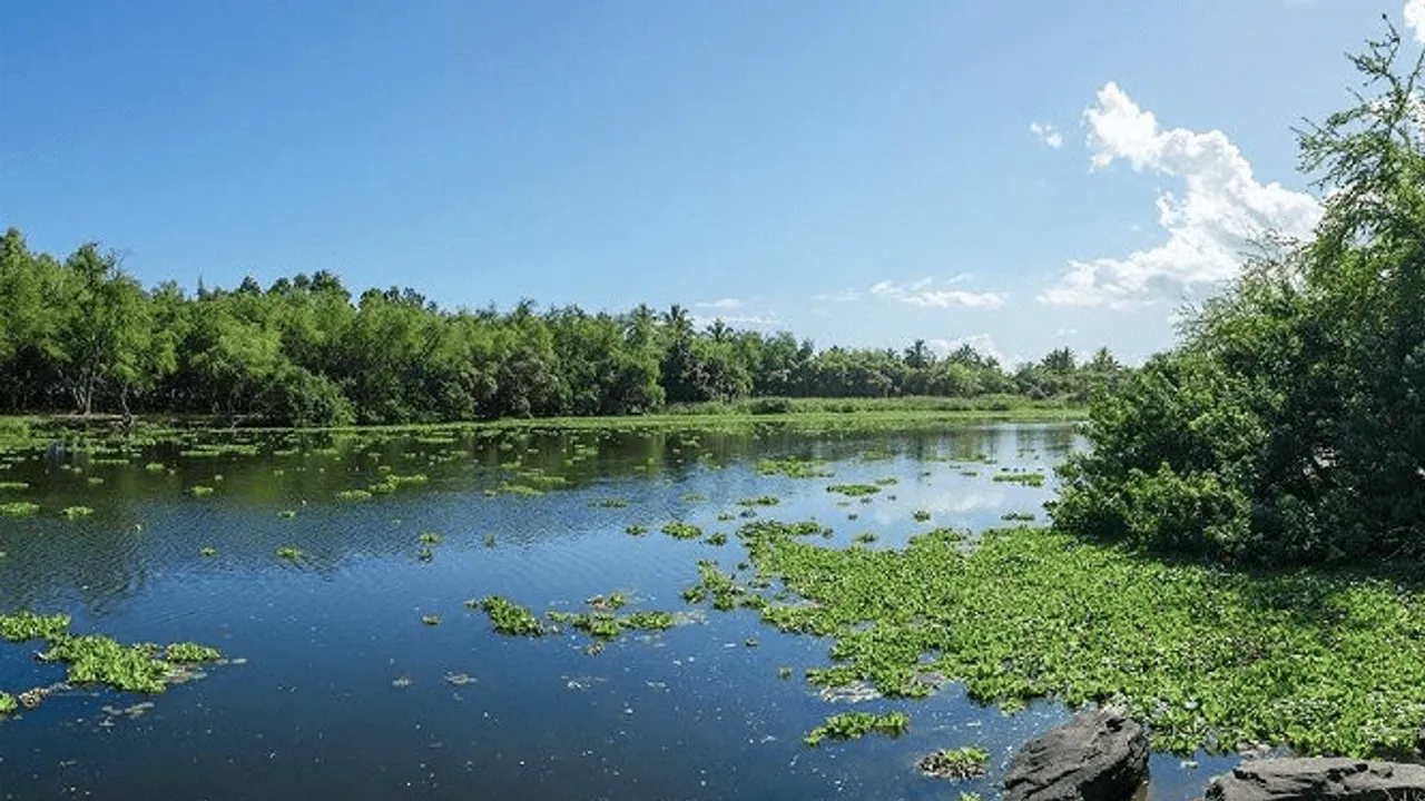 Maison de la Réserve – Etang de Saint-Paul