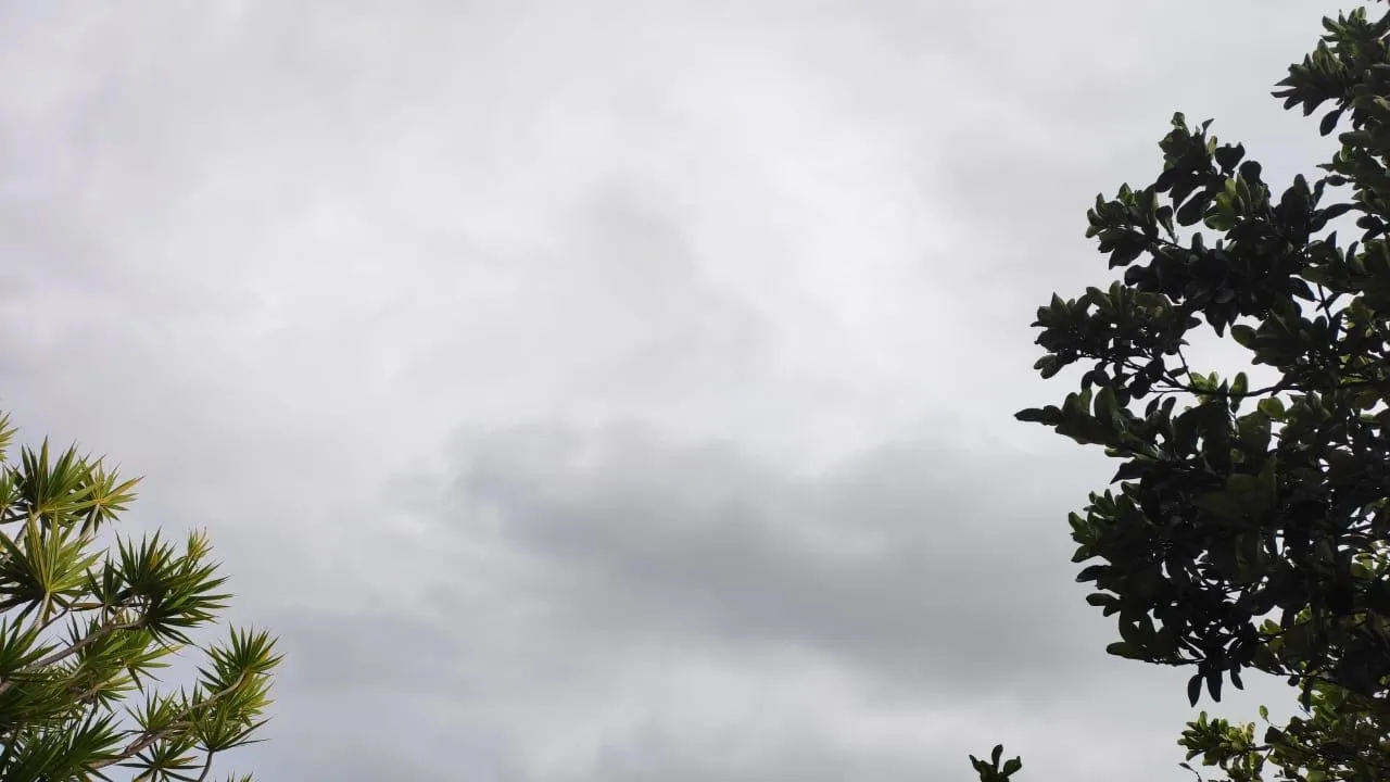 contrasté