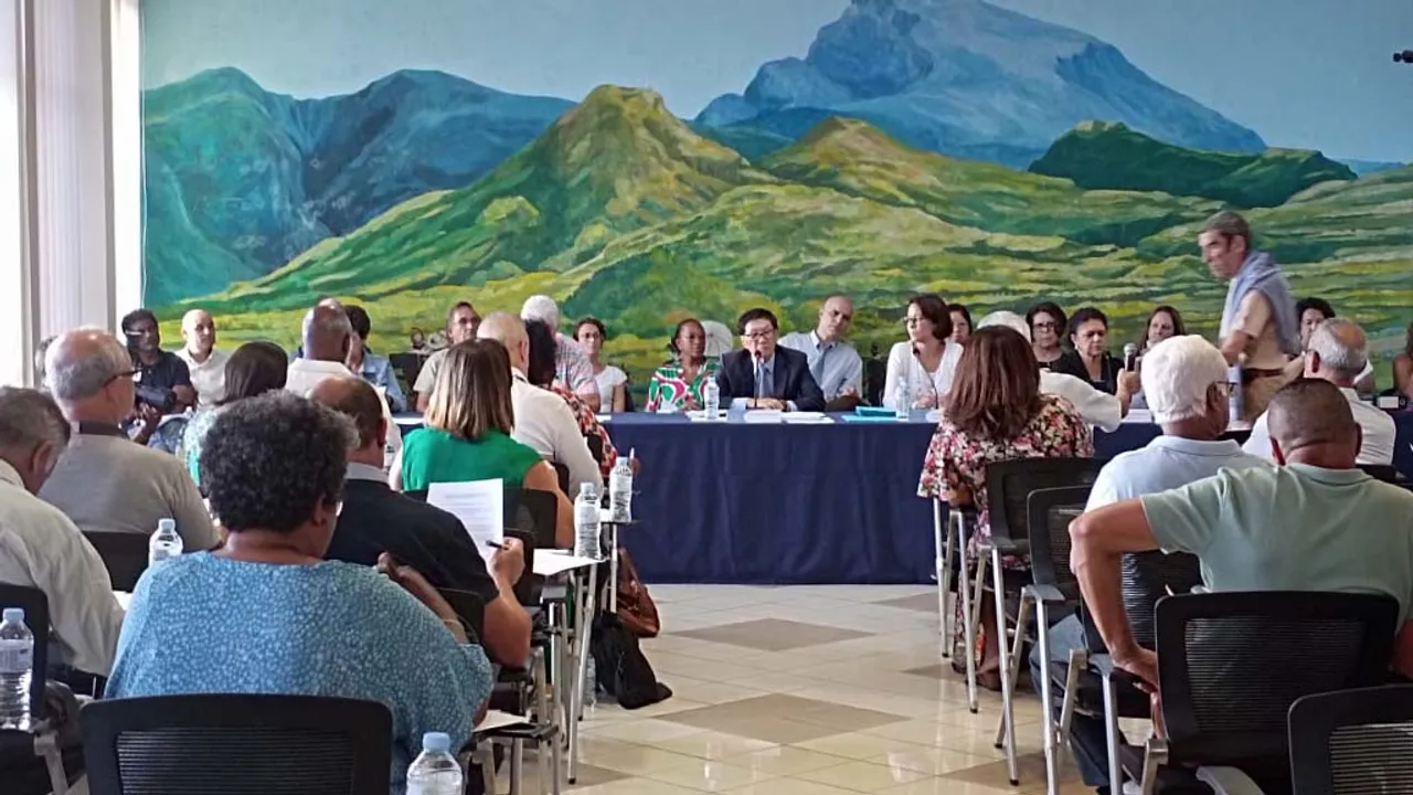 conseil municipal tampon thien ah koon parc volcan