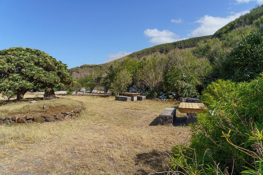 CEDTM_visite-aire-piquenique-Colimacon-00686