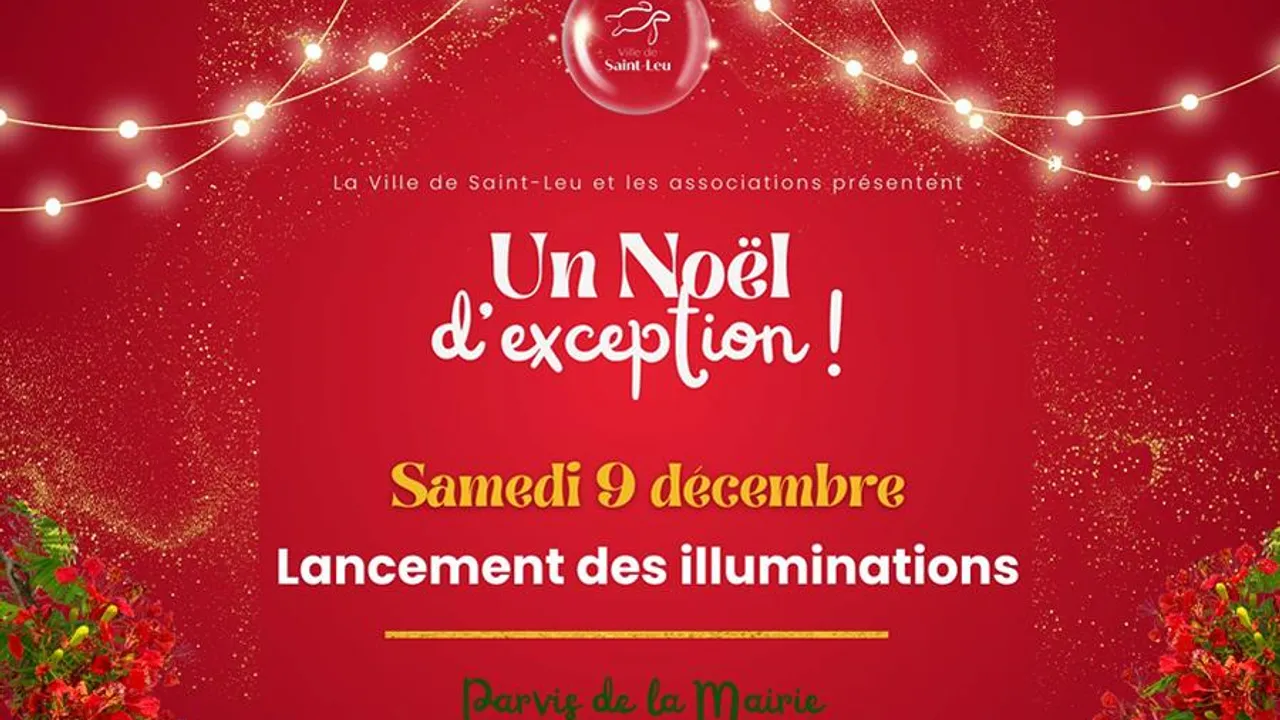 noel-parvis