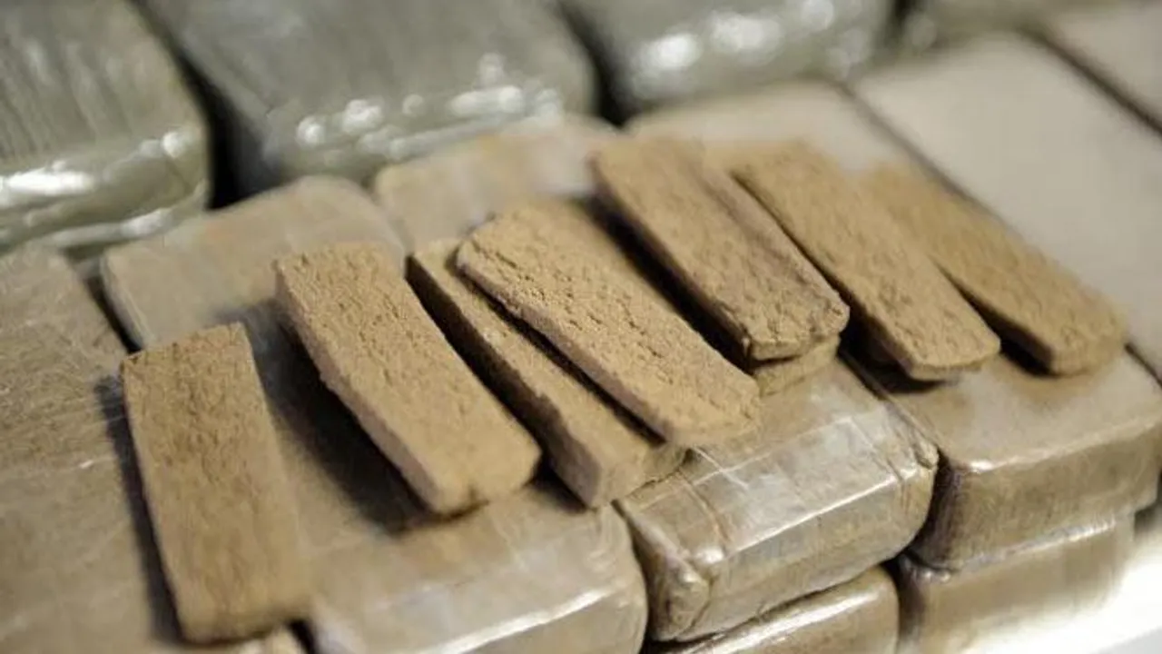 cannabis