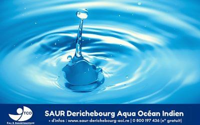 Secteur chemin Augustin Bourbon : interruption de la distribution en eau 22 et 24 avril 2024 à partir de 7h
