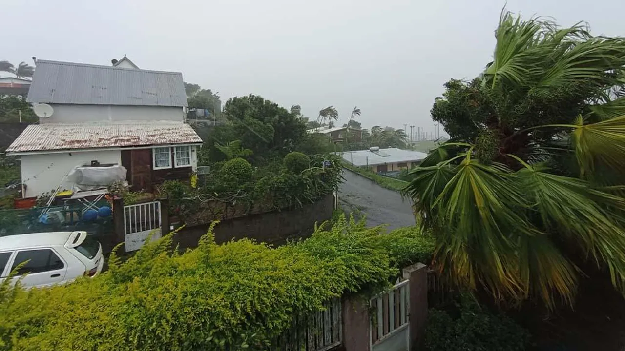 cyclone belal tampon
