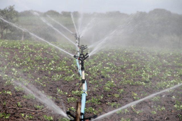 Eau irrigation