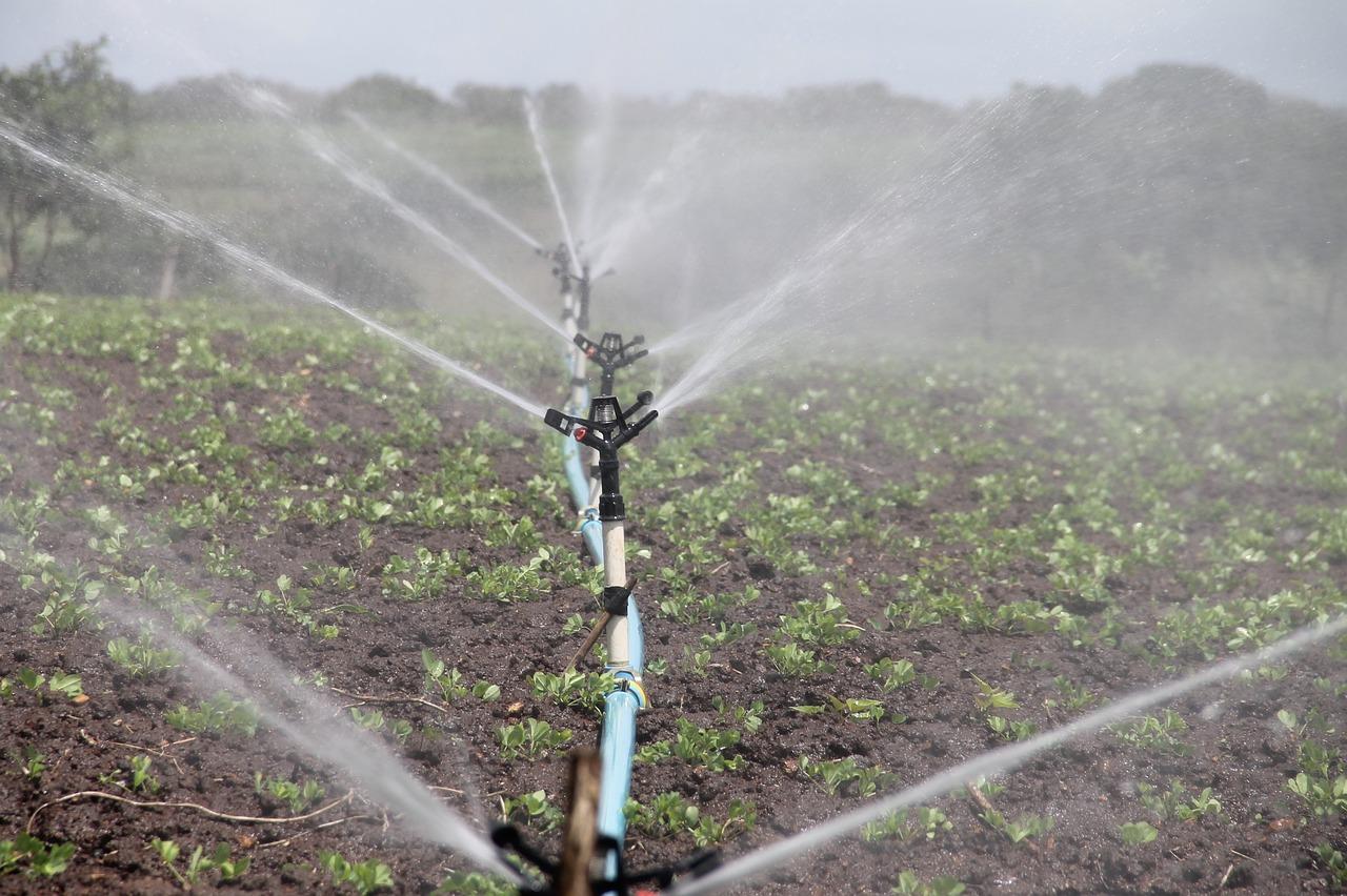 irrigation-588941_1280 Eau irrigation