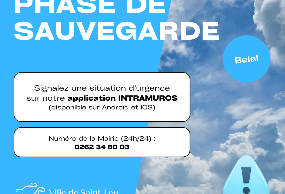 Phase-de-sauvegarde-940x640