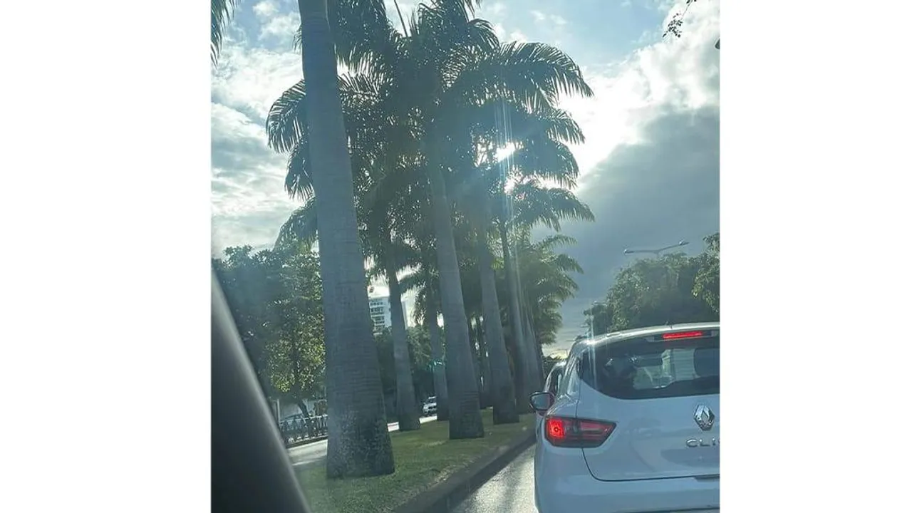 boulevard sud