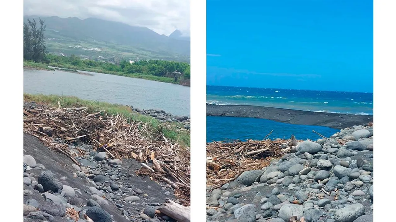 Generation_Ecologie