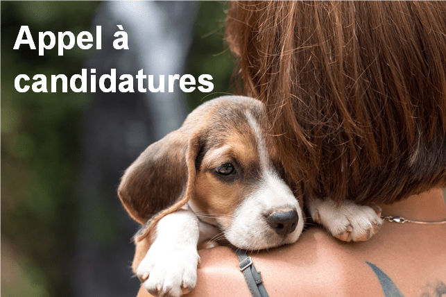 appel-a-candidatures-apa