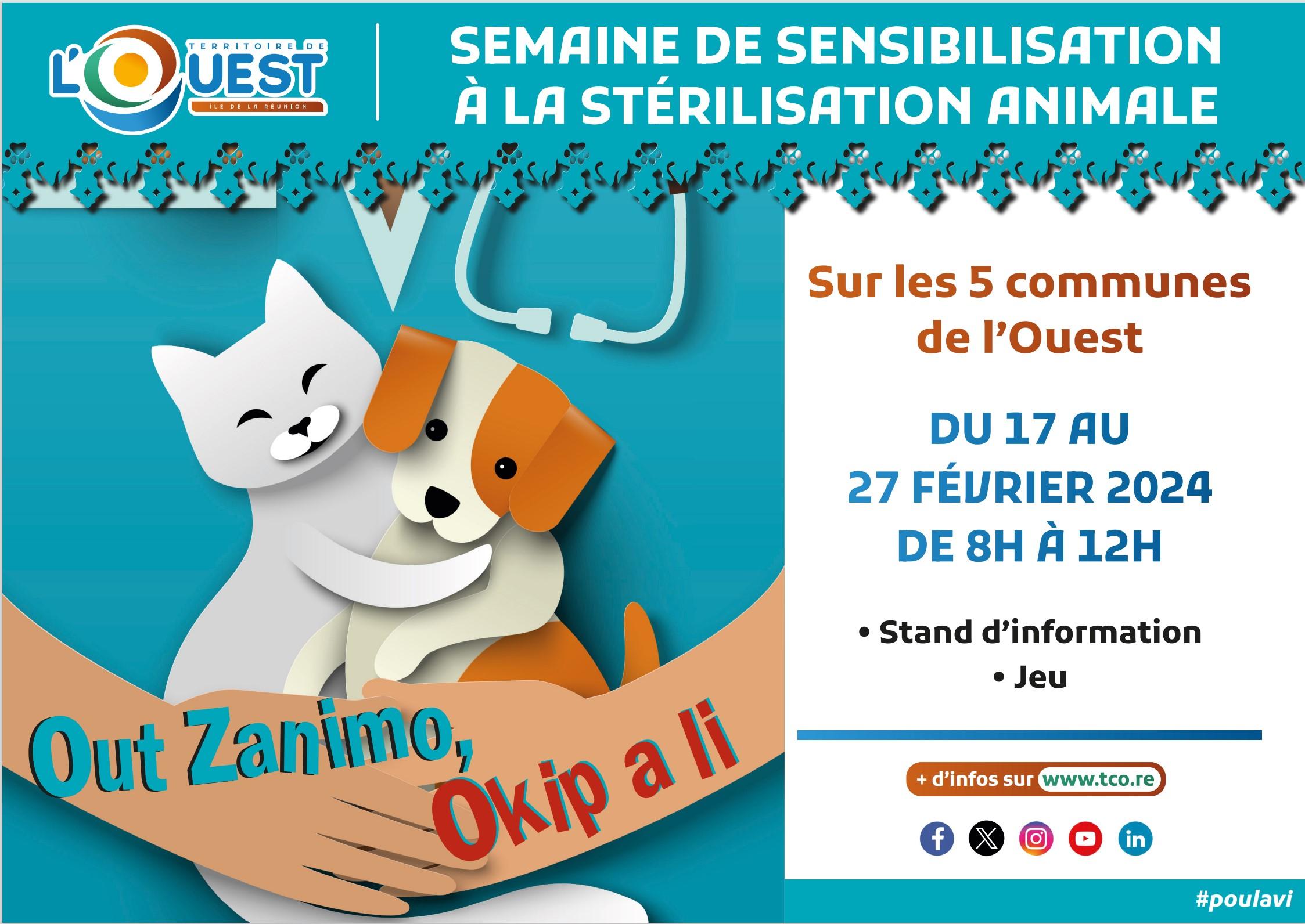 jms-dessin