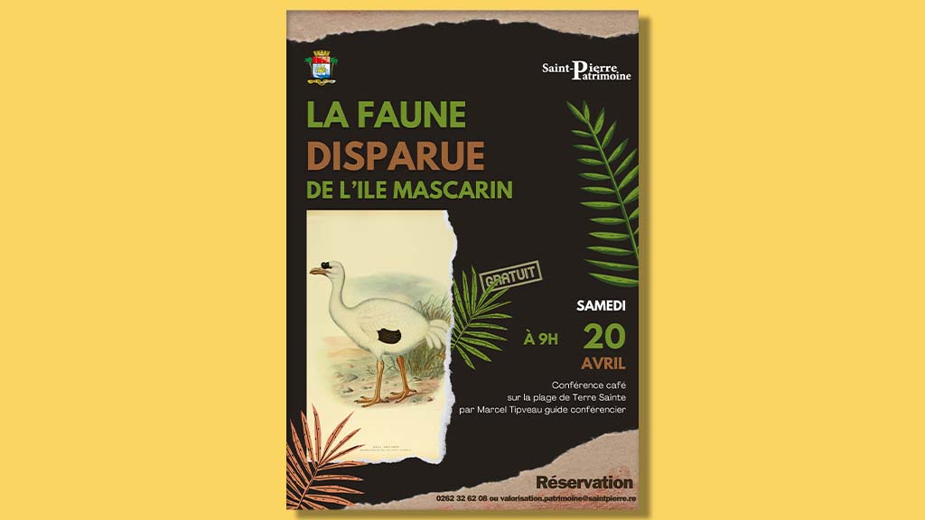 Conférence Café Plage de Terre-Sainte sur la faune disparue de l’Ile Mascarin