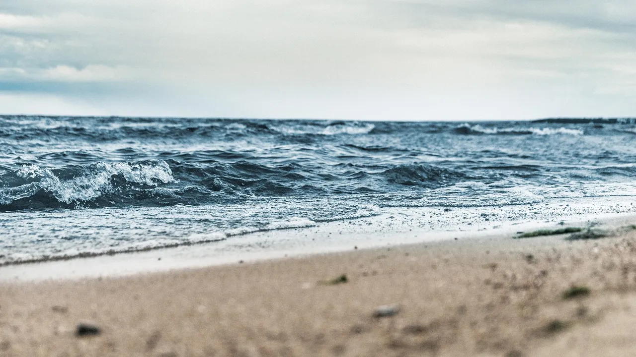 Plage agression