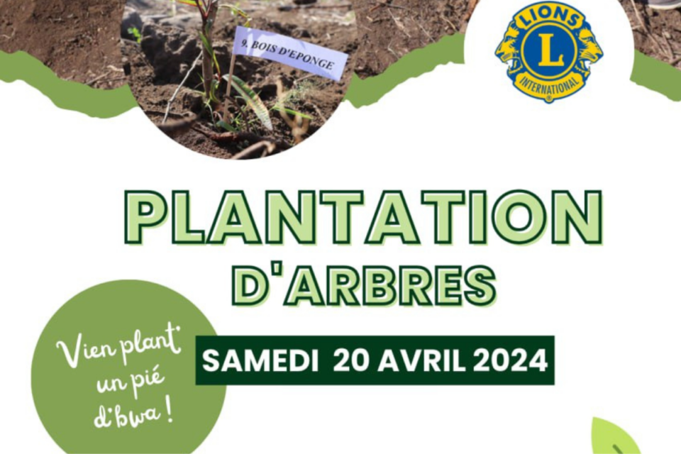 Plantation d’arbres au Grand Stella, samedi 20 avril 2024 à partir de 8h