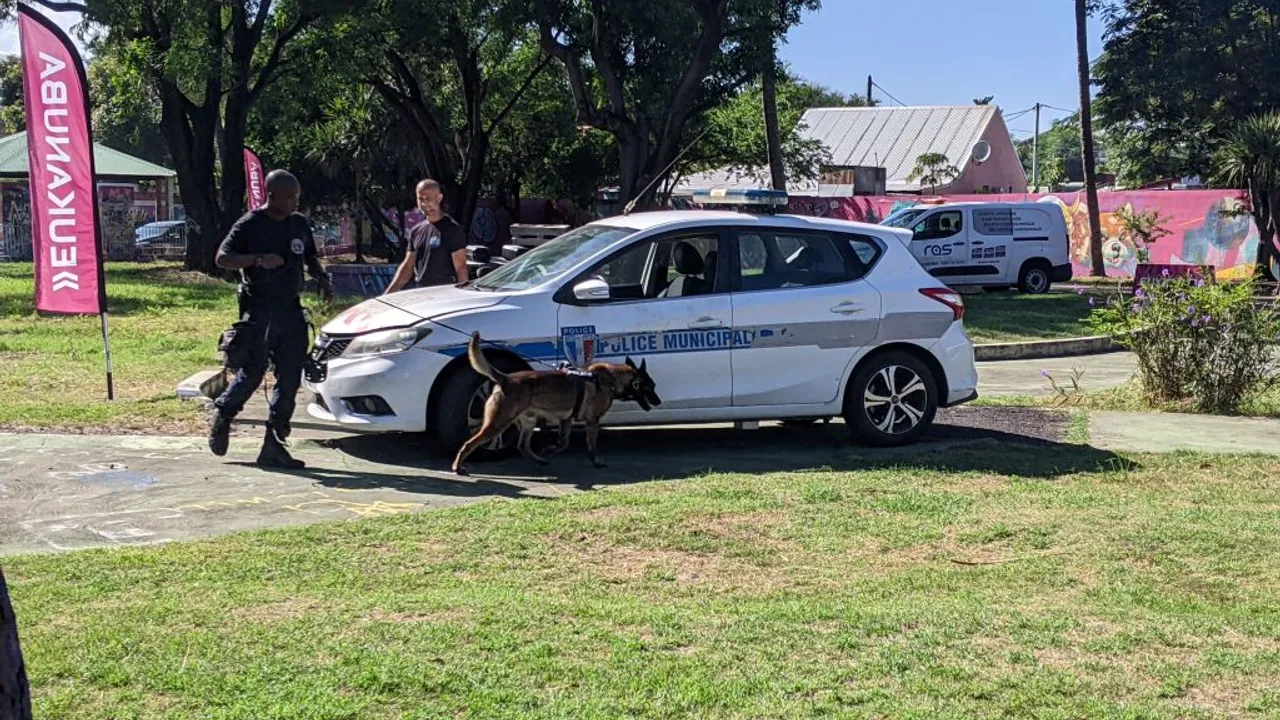 brigade canine k9 Saint-Denis, chien