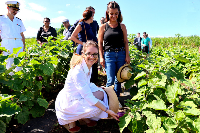 Visite d’Aurore Bergé : Rencontre avec les agricultrices et lutte contre les discriminations