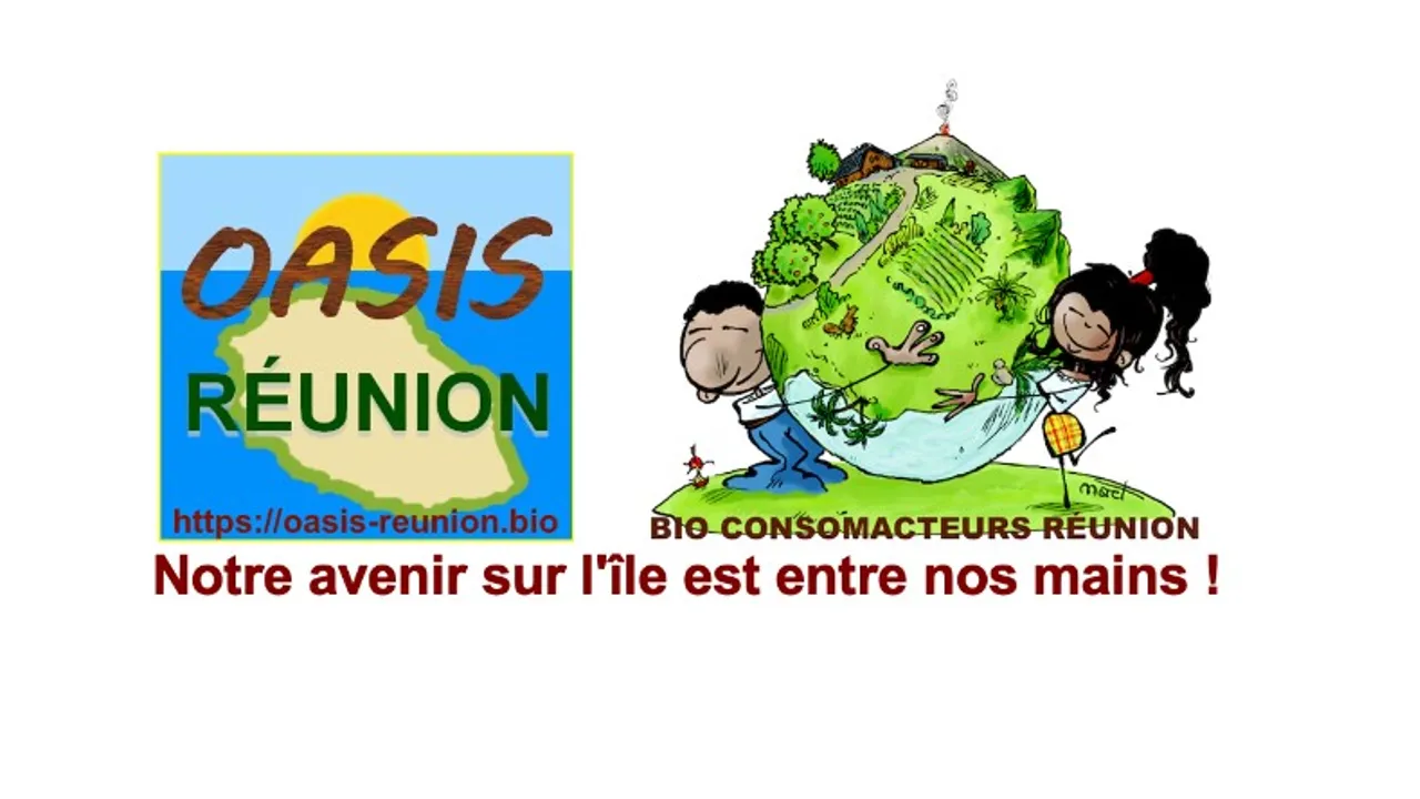oasis réunion logo