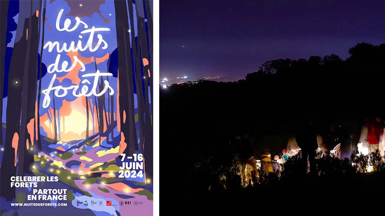 nuit des forêts