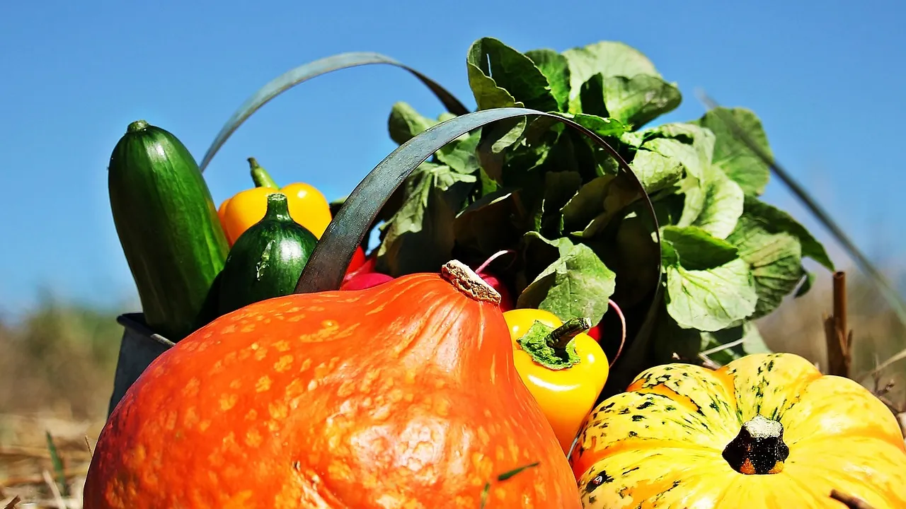 légumes Pixabay pesticides