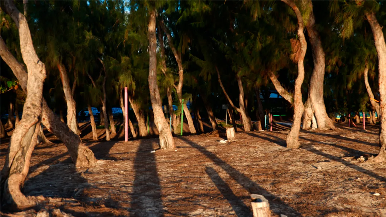 Hermitage_Plage