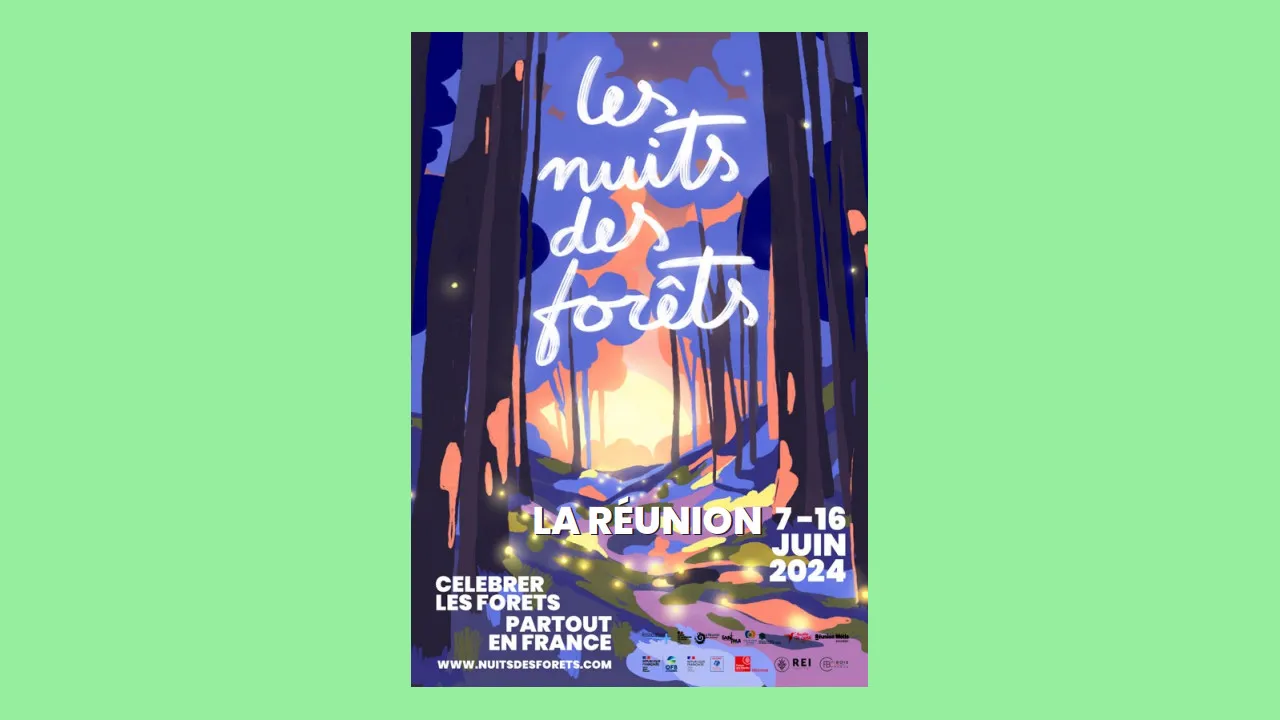 nuit foret