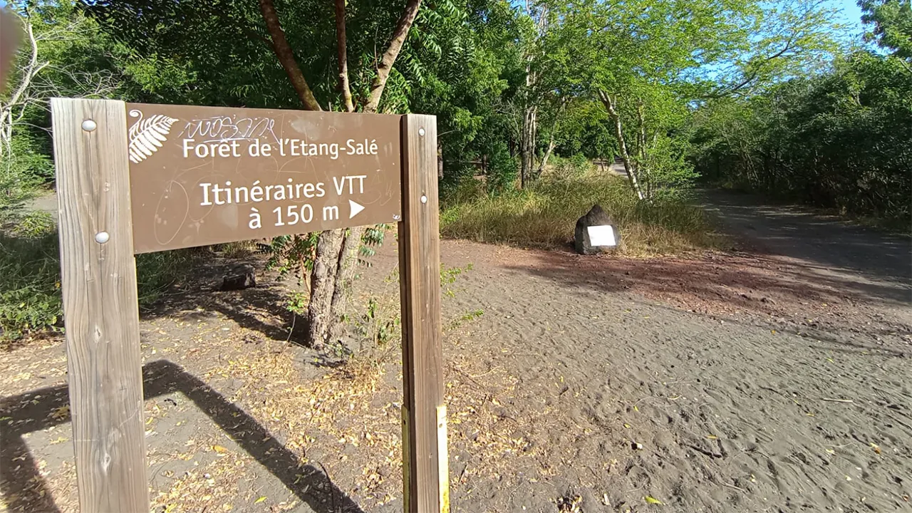 Forêt Etang-Salé