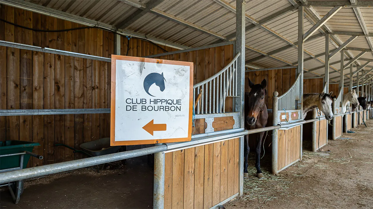 Centre-équestre-Bourbon-cheval-3