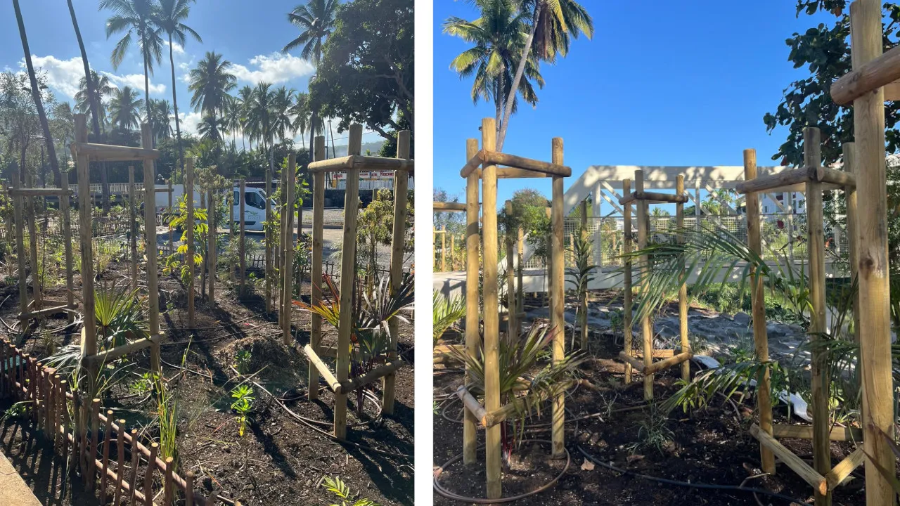 vol plantes st-gilles