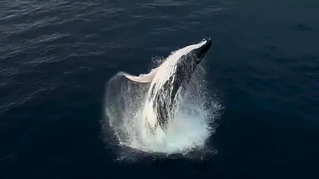 Capture d'écran 2024-08-16 205336